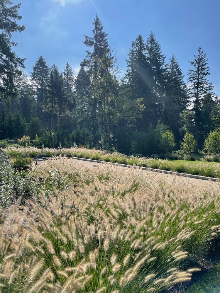 All Photos for Courtney Lewis Landscape Design in Portland, OR