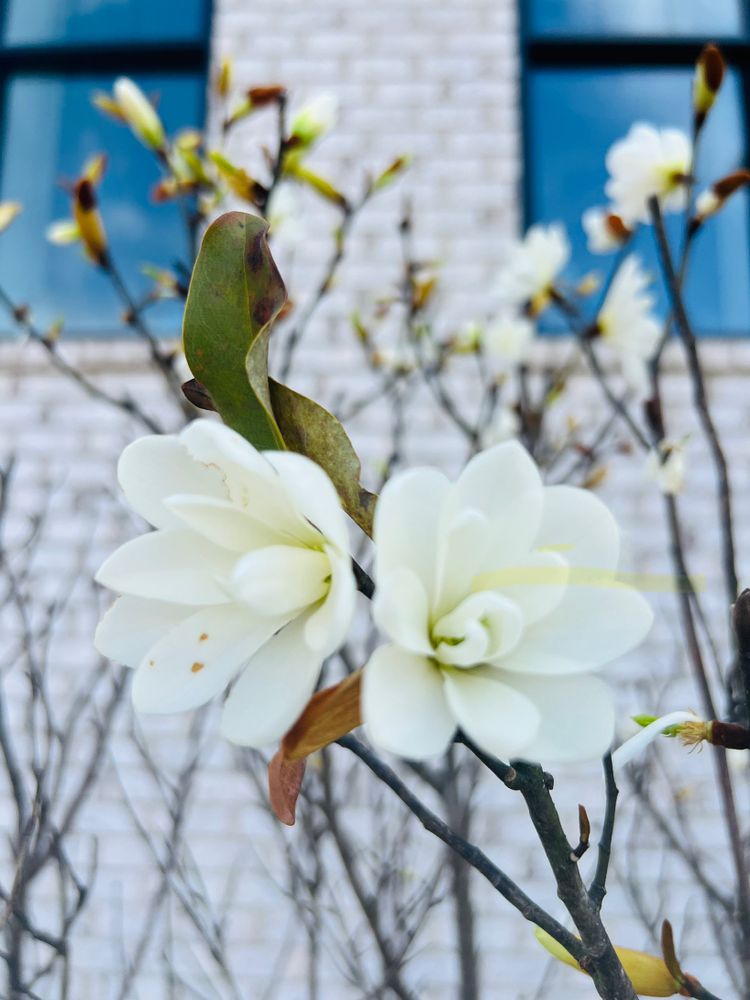 All Photos for Christina King Landscape Design in Raleigh, NC