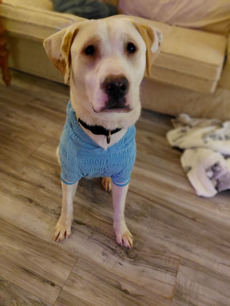 All Photos for Sullivan Sanctuary of Maine in Brunswick, ME