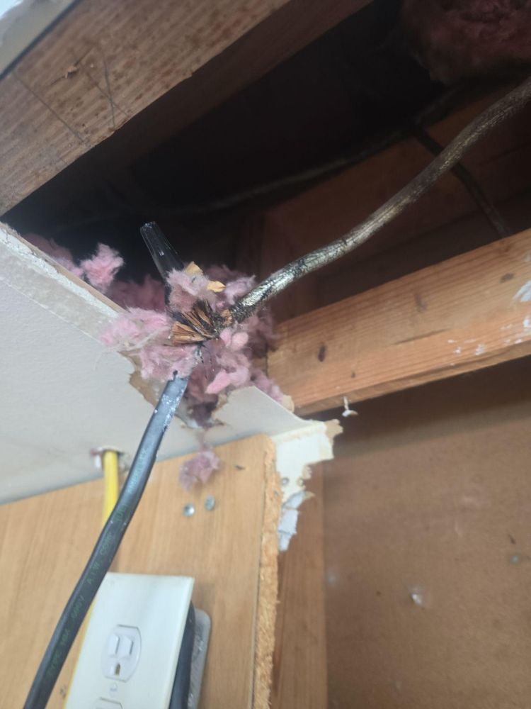 All Photos for Zorcon Contracting LLC in Tampa, FL