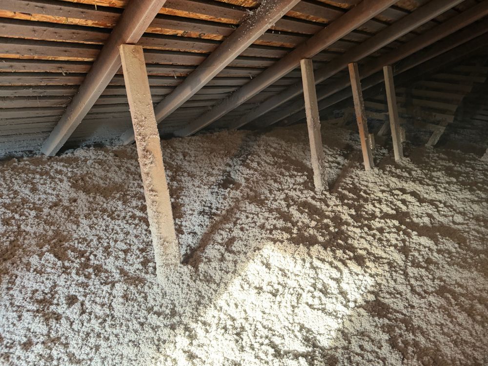 Crawlspace/Attic Renovation  for All-In Pest Control & Home Solutions in Greene County, IN