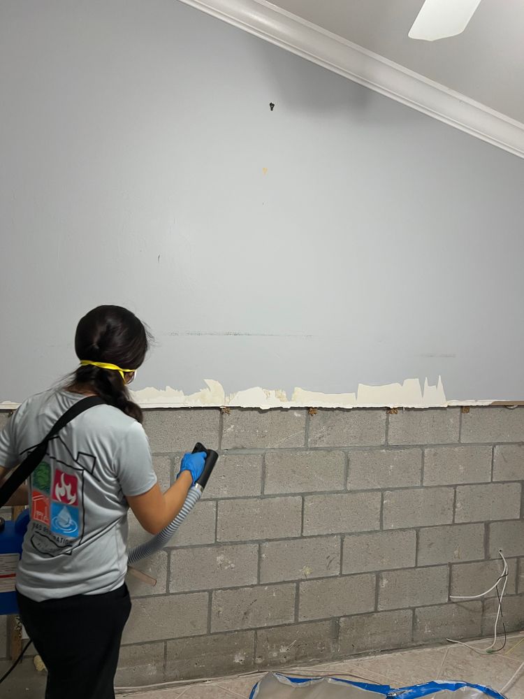 Mold Remediation for N&D Restoration Services When Disaster Attacks, We Come In in Cape Coral,  FL