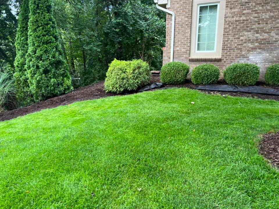 Landscaping for Tico Landscape Improvements in Ann Arbor, MI