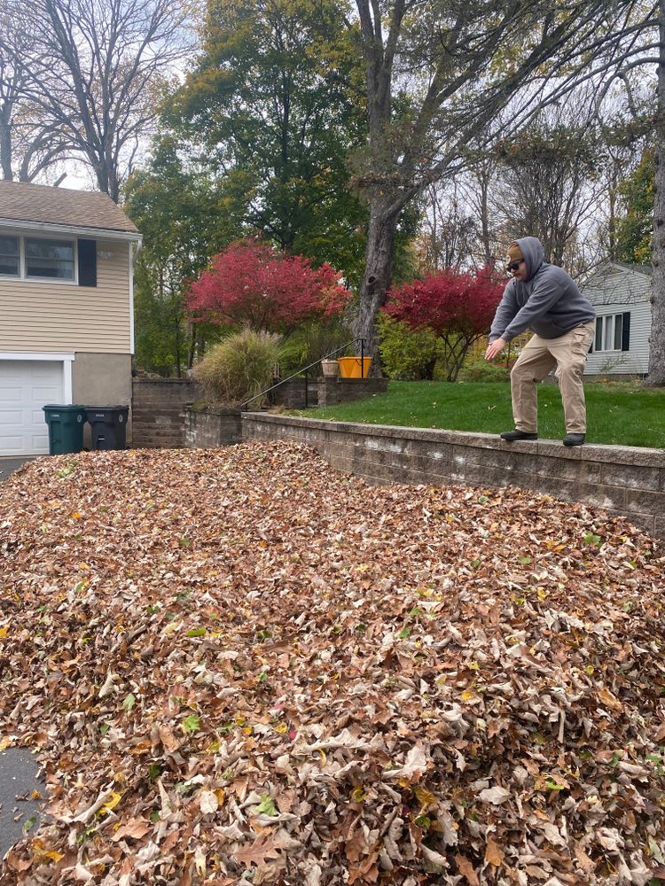 Seasonal Clean Ups for Stevenson Property Maintenance in Cheshire, CT