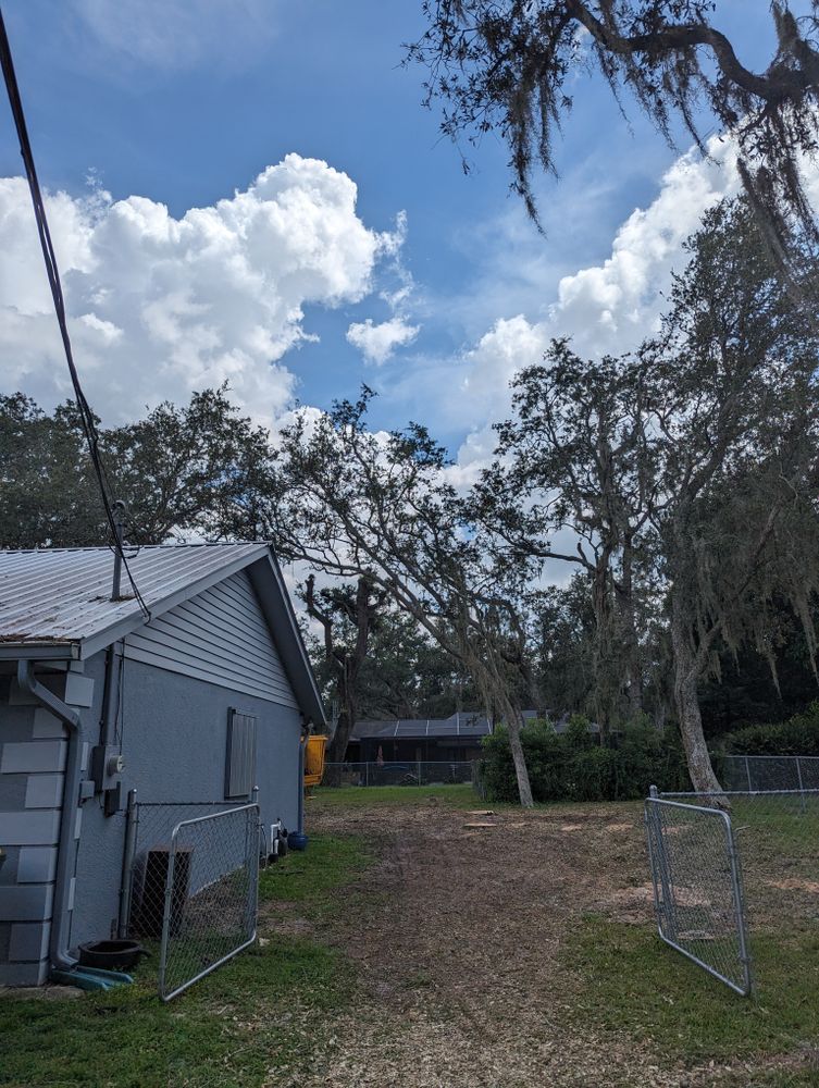 All Photos for Regal Tree Service and Stump Grinding in Wauchula, FL