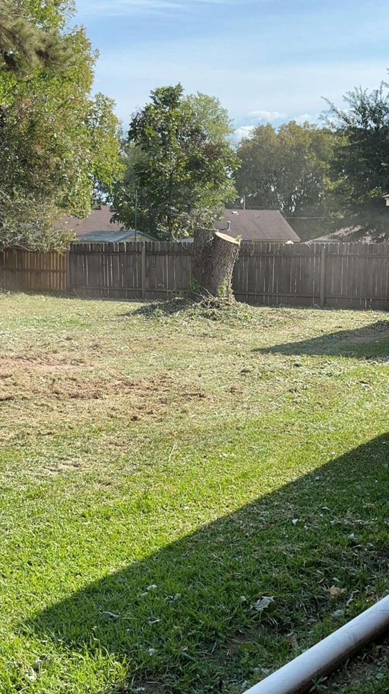 All Photos for Morace Tree Service in Natchez,,  MS