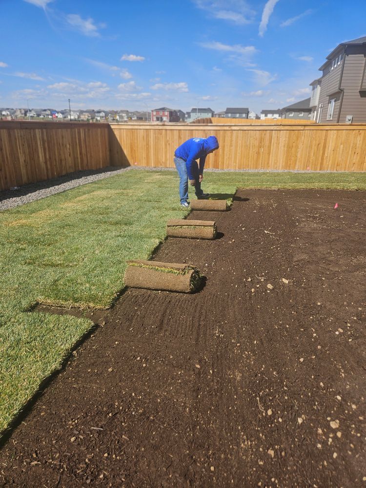 All Photos for NGL Landscape Company in Denver, CO