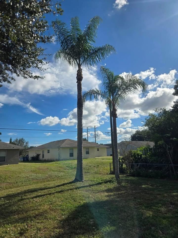 All Photos for Space Coast Property Maintenance and Management LLC in Brevard County, FL