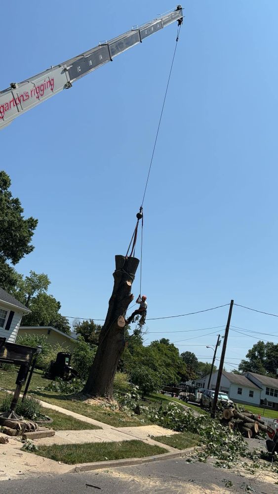 Our Climbing Services provide expert care for your trees, ensuring safe and precise trimming, pruning, or removal. Enhance your landscape's health and appearance with professional attention tailored to each tree's needs. for Melnyk’s Tree Service in Salem County, NJ