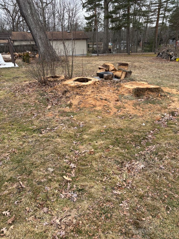 All Photos for Dean's Stump Removal in Youngstown, OH