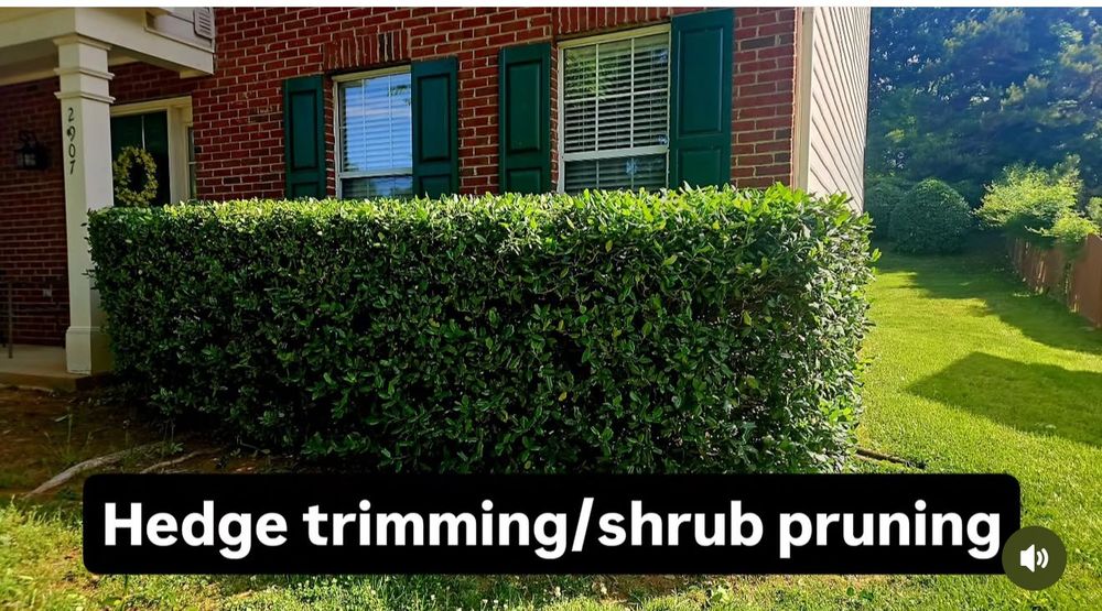 All Photos for Surprising Odyssey in Gibsonville, NC