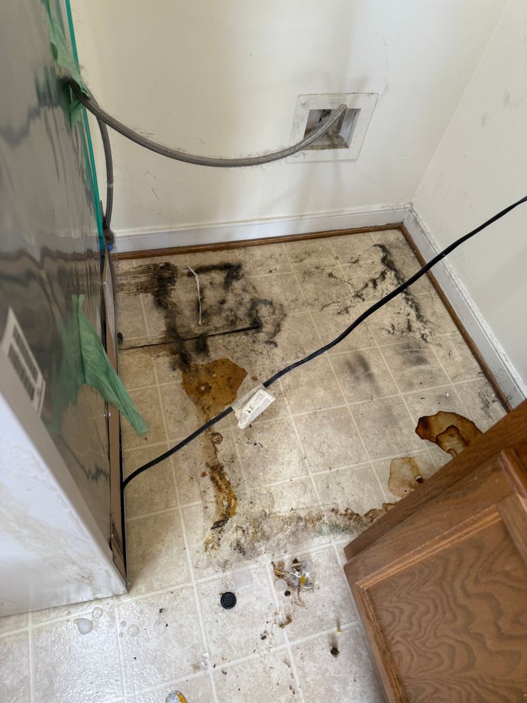 All Photos for Blue Wave Cleaning LLC in Mechanicsville, Virginia