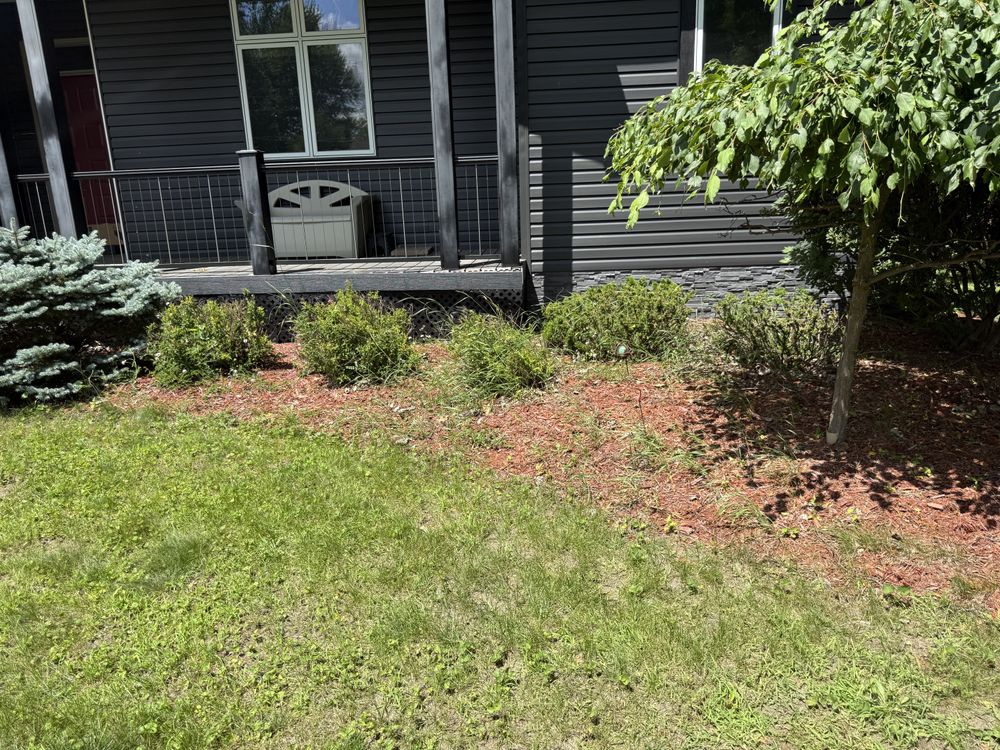 Landscaping Lawn Care for Daugherty's Tough Lawn Care in Essexville, MI