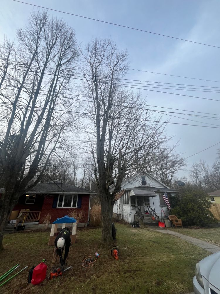 All Photos for Licensed to Cut Tree Service in Athens, PA