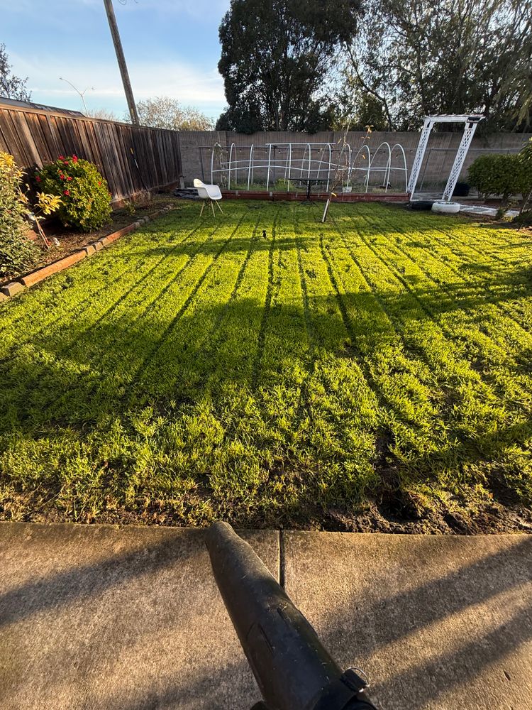 All Photos for CBA Landscaping in Hayward, CA