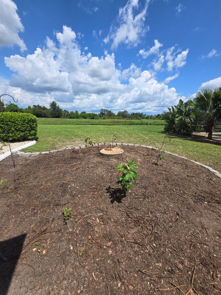 All Photos for TREE BOYS in Ruskin, FL
