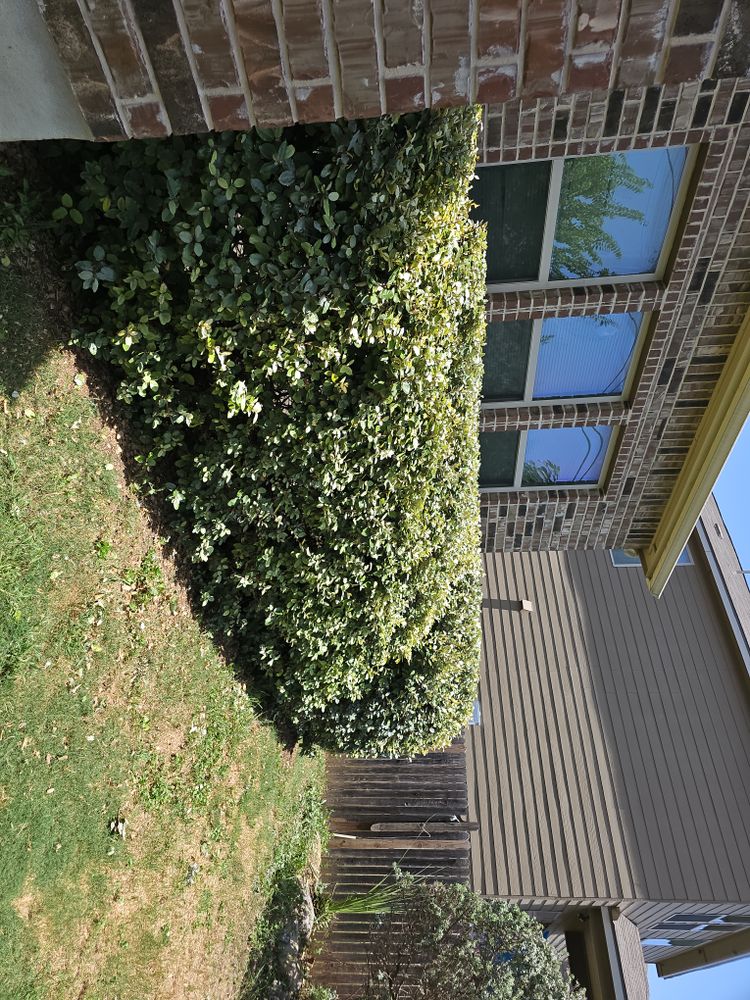 Mowing for Miller Mowing and Maintenance in San Antonio, TX
