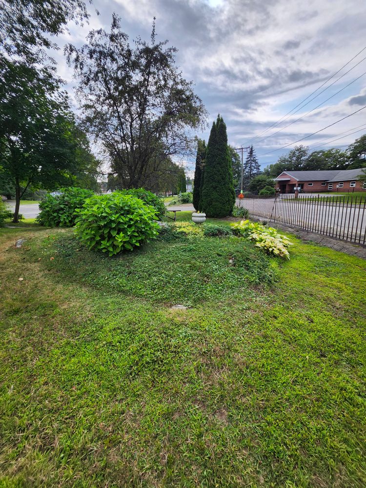 All Photos for Landscape Innovations LLC in Torrington, CT