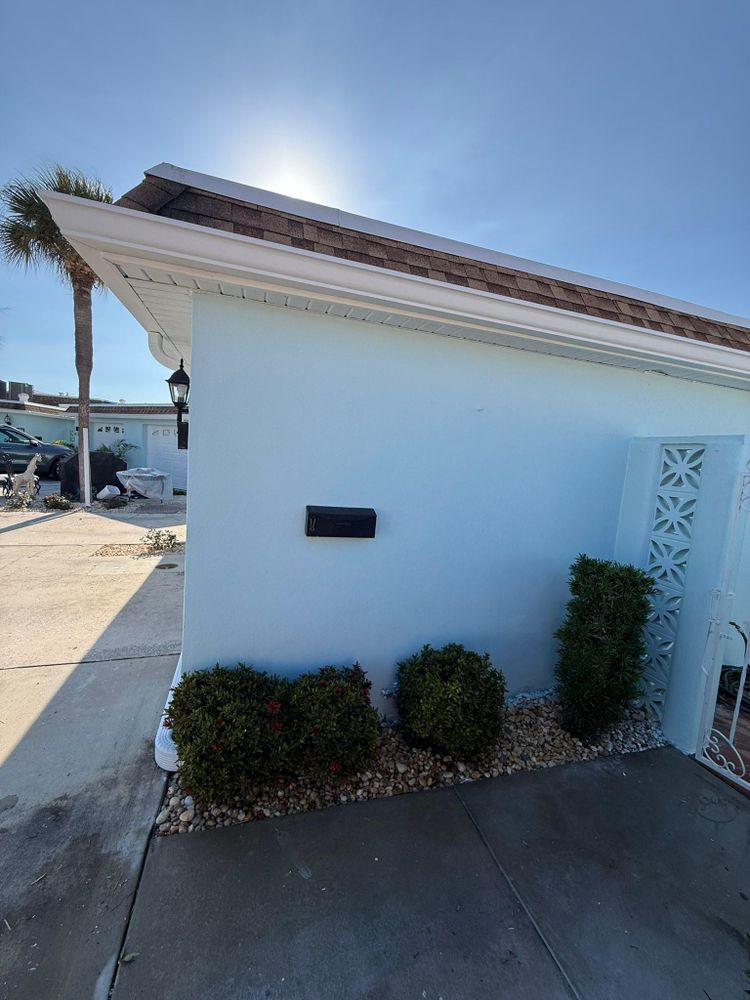 All Photos for Escorpio Painting in Tampa, FL