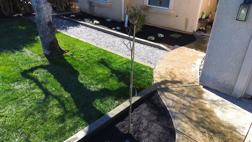 Medium to higher end landscaping from hardscape to artificial grass. for Austin LoBue Construction in Cottonwood, CA