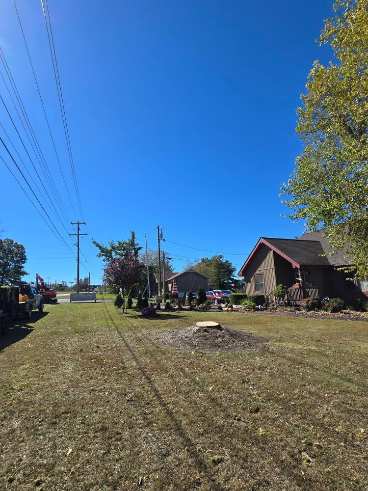 All Photos for M&L Lumber and Excavating in Jonesborough, TN