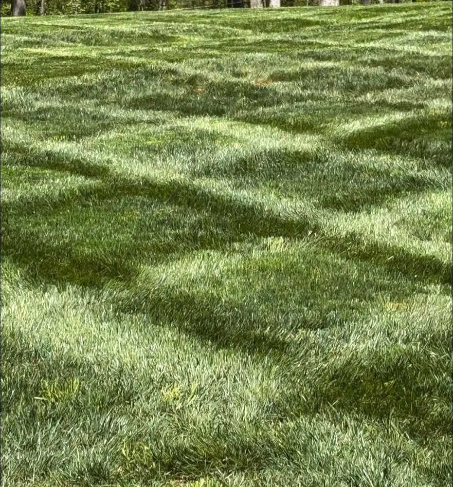 All Photos for Piedmont Lawn and Landscaping in Lexington, NC