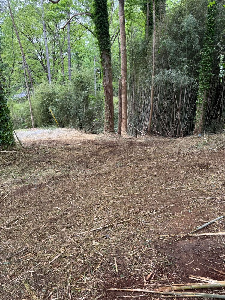 All Photos for T Crane Grading LLC in Clarkesville, GA