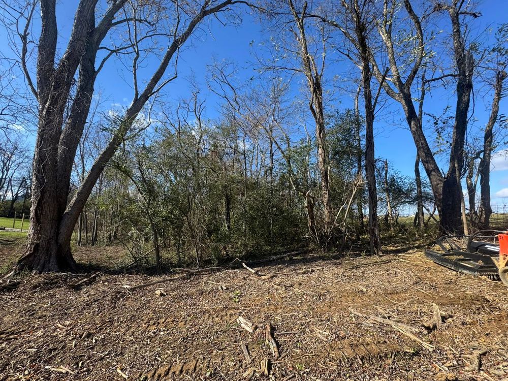 Discover the additional services our Land Clearing company offers, including expert carpet cleaning solutions to refresh your home. Enhance your living space today with our comprehensive service offerings! for Premier Outdoors and Land Management in Baxter, TN