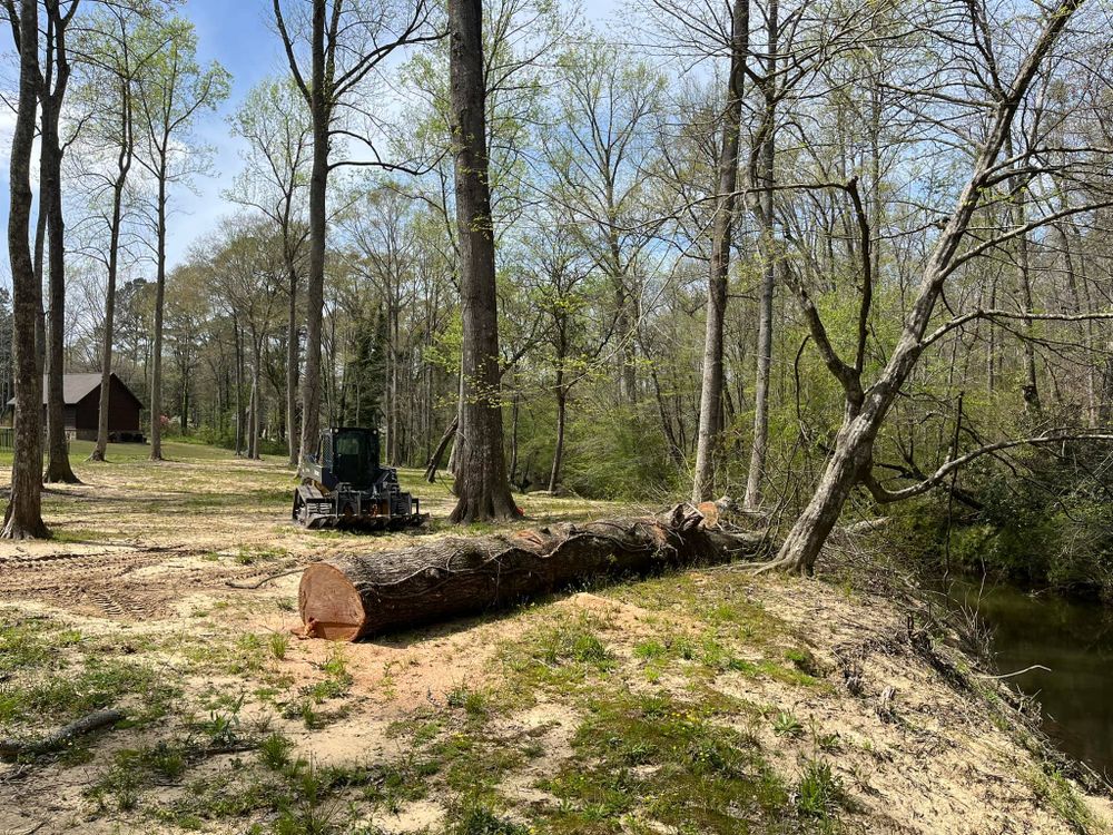 Tree Removal for Big Rock Tree Removal LLC in Boaz, AL