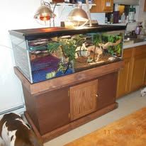 Custom Terrarium and Aquarium Stands  for J & S Handyman Services in Aumsville, OR