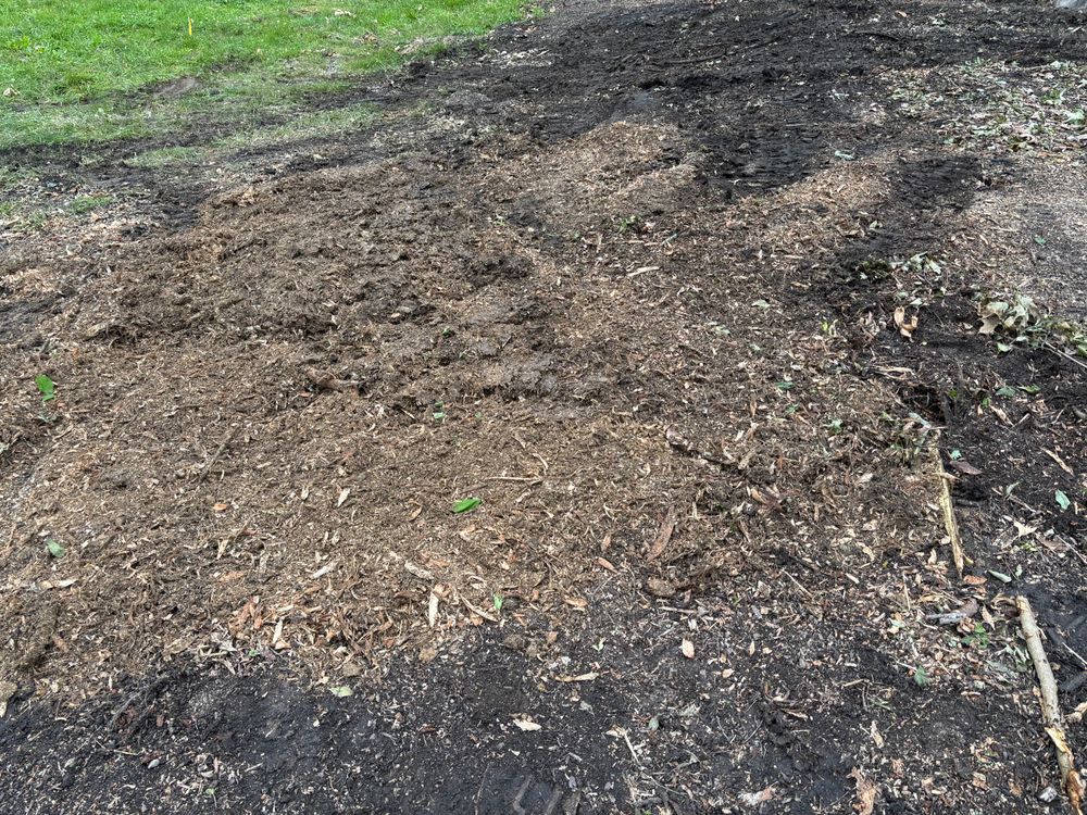 All Photos for Conrad's Stump Removal in Columbus, IN