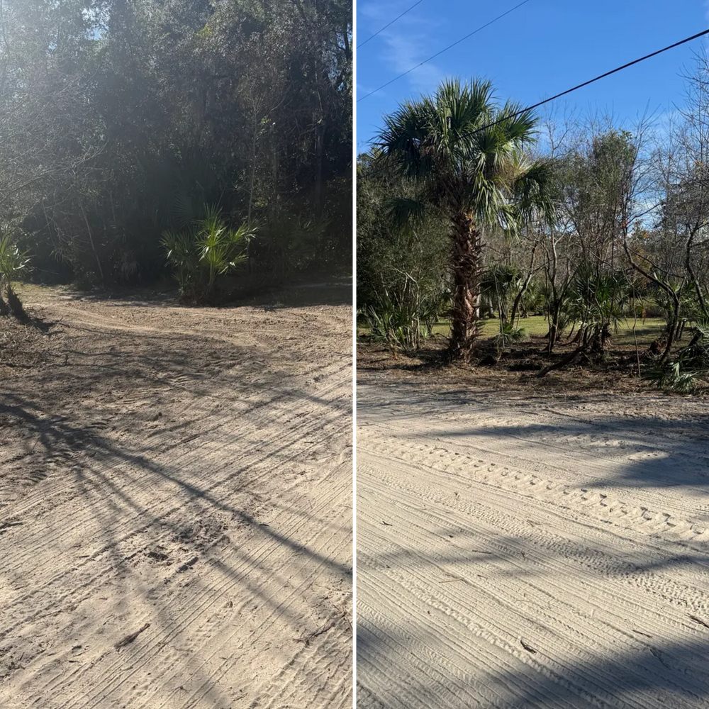 All Photos for Amerigrown Tree And Lawn in Apopka, FL