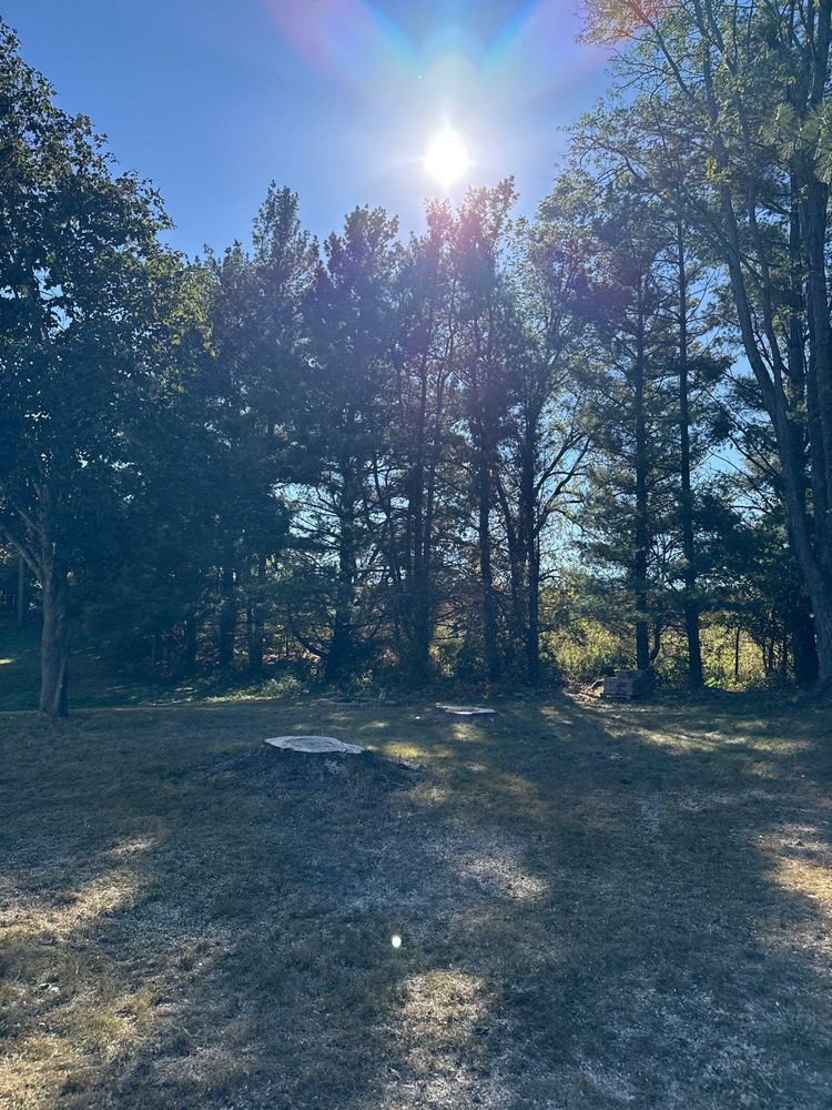 All Photos for Fransen's Tree Service  in Freeport, IL