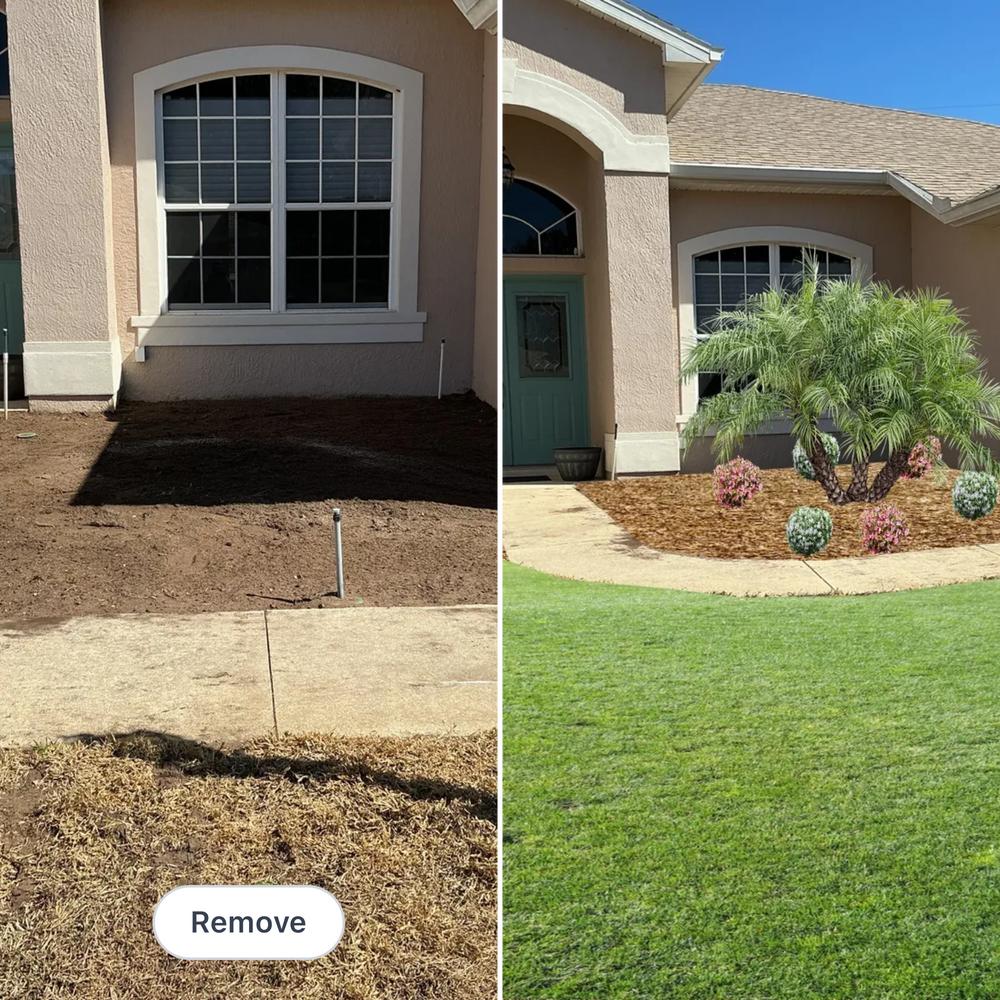All Photos for Amerigrown Tree And Lawn in Apopka, FL
