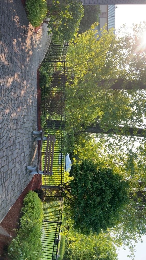 All Photos for Denicola’s Lawn Care in Oxbow,  NY