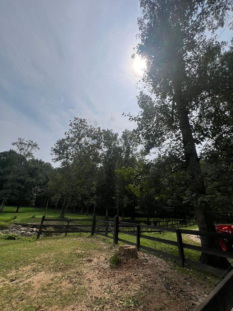 All Photos for Brooks Tree Service in Casar, NC