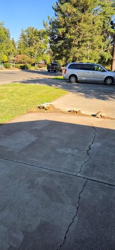 All Photos for Logan's Dump Run in Chico, CA