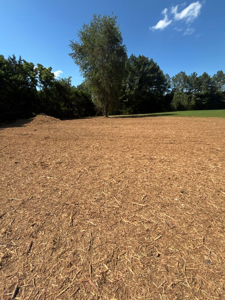 Our Tree Trimming & Removal service ensures safe, efficient management of trees on your property, enhancing beauty and safety by removing hazardous limbs or unwanted trees with expert precision and eco-friendly practices. for JC Land Clearing in Shelbyville, TN