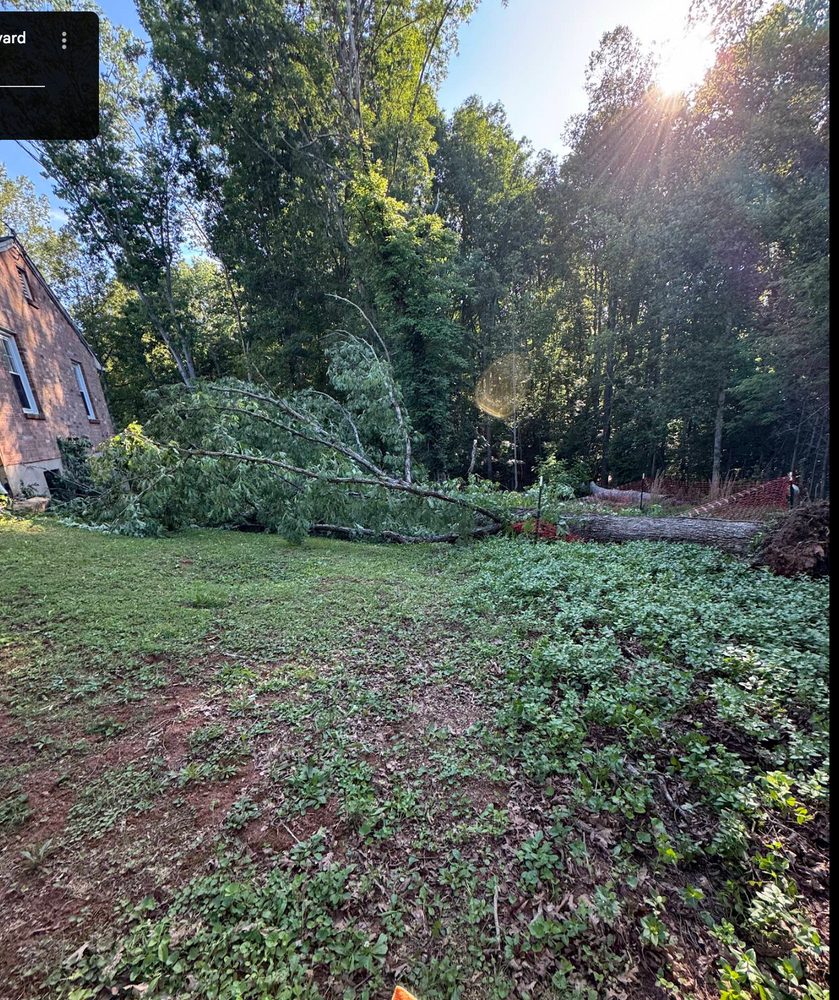 All Photos for Hamlett Tree Service LLC in Clover, VA