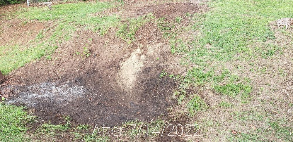 Yard Recovery for Yard Recovery Service in Byron, GA