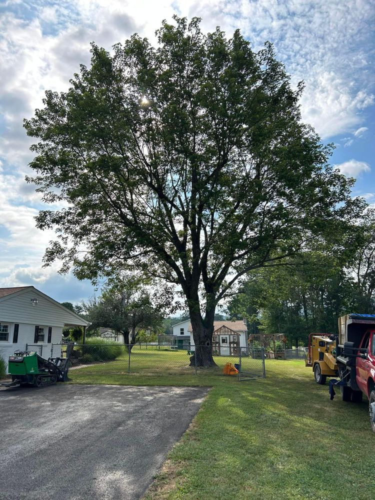 All Photos for NRV Tree Pro, LLC in Narrows, VA