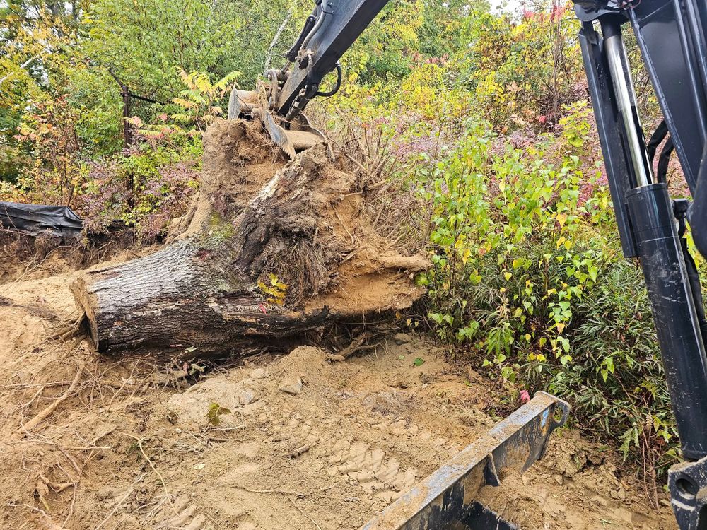 Our stump removal service safely eliminates unsightly stumps, improves yard appearance, and prepares your landscape for new growth. We also help maintain clean properties with dependable snow removal services. for M&M Property Services in Brewer, ME