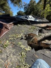 All Photos for Rover Restoration North Carolina in Charlotte, NC