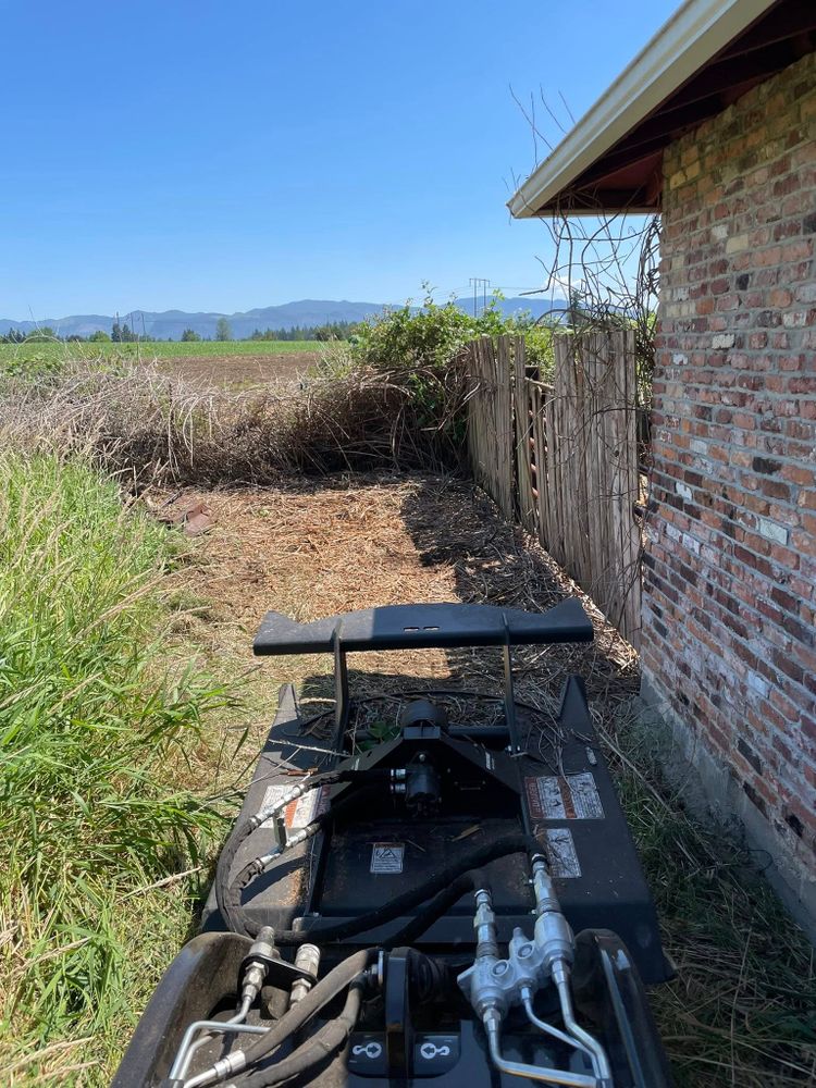 Tree Removal for Wilderness Stump Grinding in Orting, WA