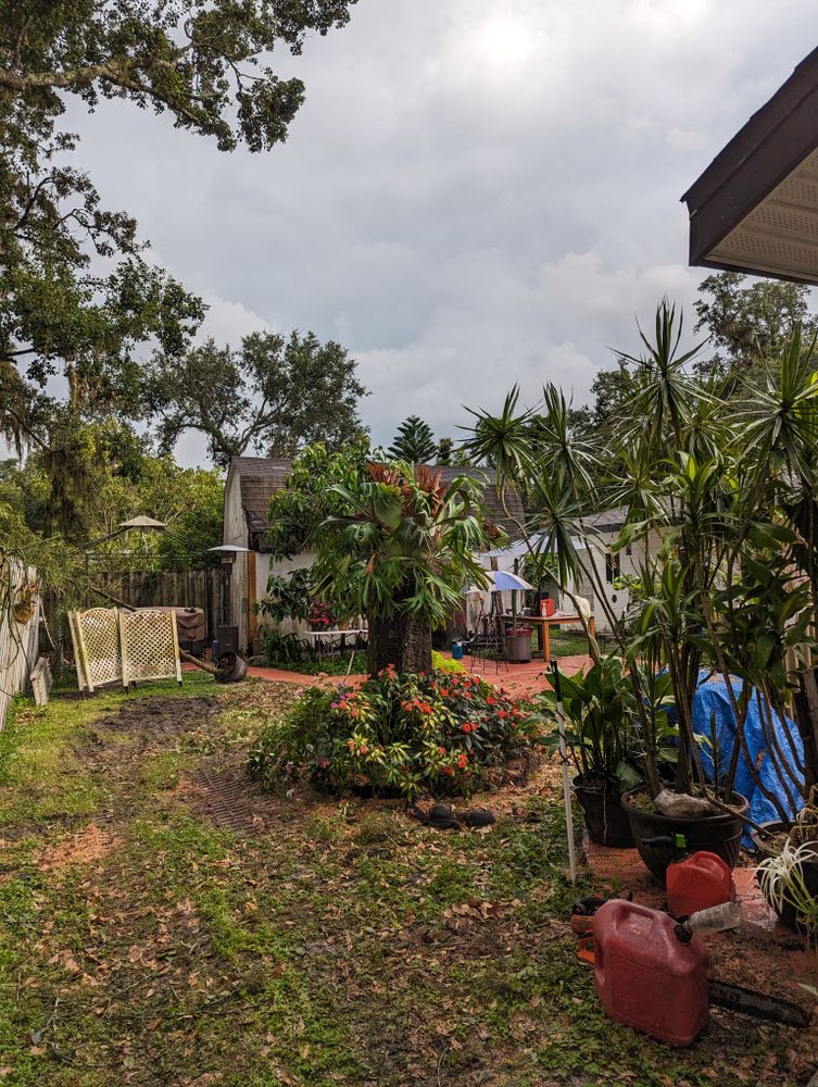 All Photos for Regal Tree Service and Stump Grinding in Wauchula, FL