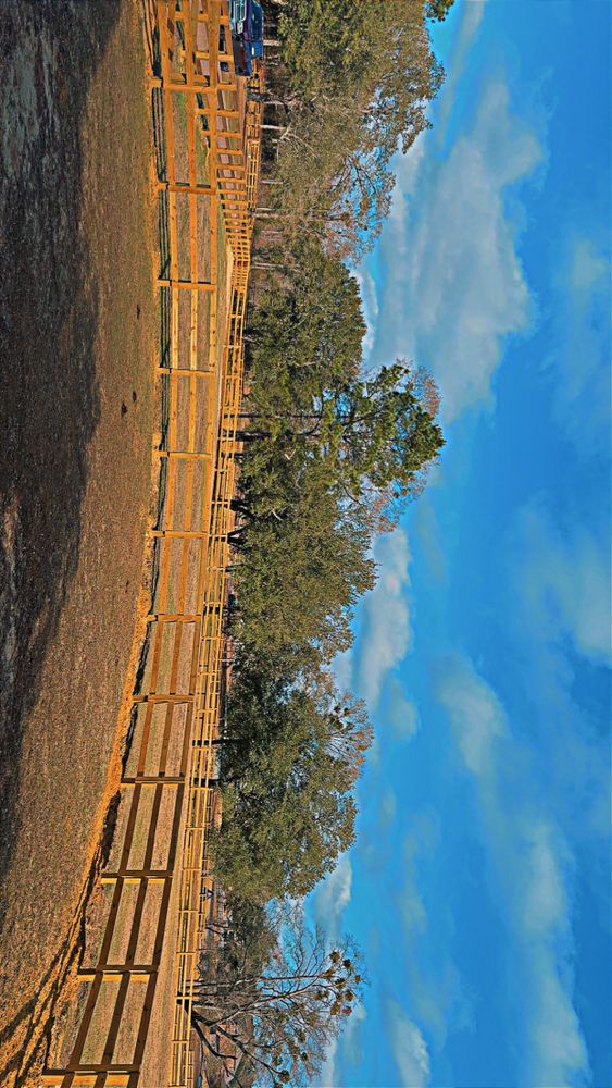 All Photos for ZP Enterprises in Pensacola, FL