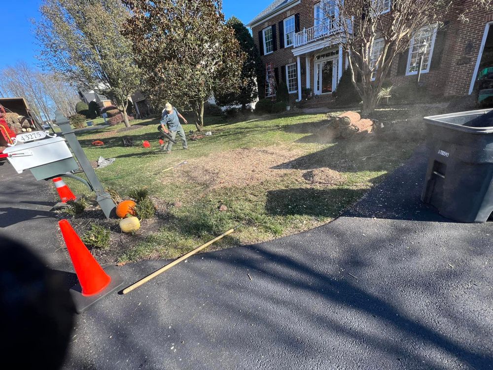 Tree Trimming and Removal for DIAZ TREE in Stafford, VA