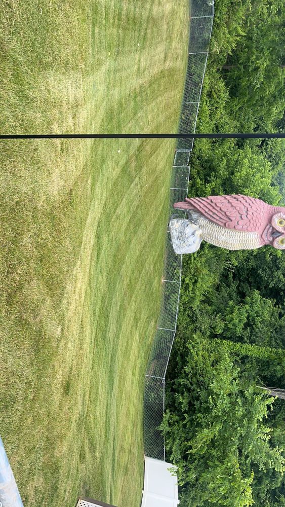 All Photos for Cam Yardz in Washington, PA