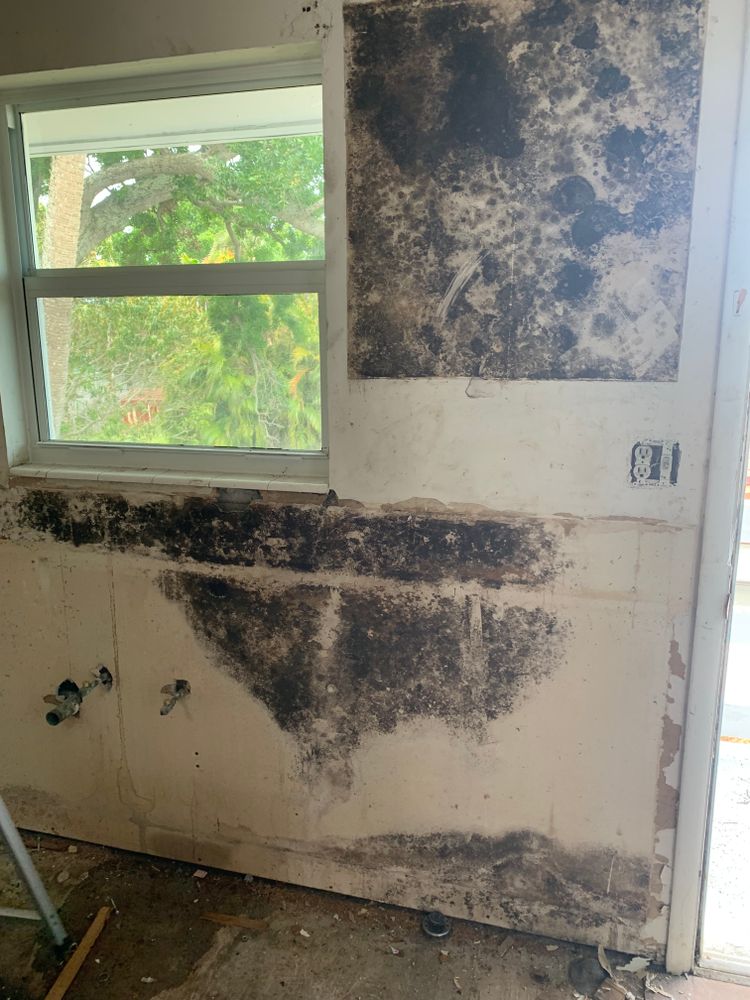 All Photos for Space Coast Property Maintenance and Management LLC in Melbourne, FL