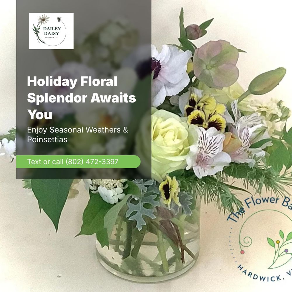 All Photos for The Dailey Daisy in Hardwick, VT